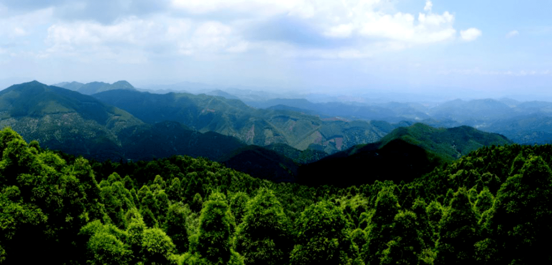 文章配图-9
