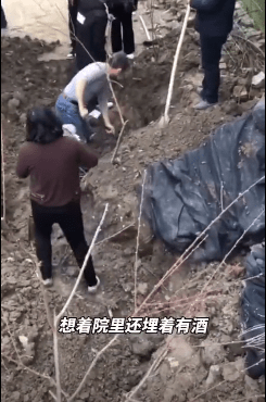 男子挖出地下10年老酒过年 忘地方了 挖了一天 网友 馋哭了 陈先生