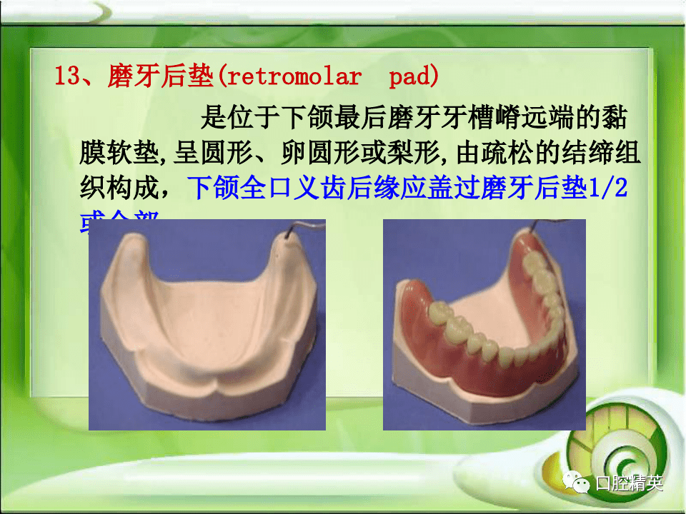 全口无牙颌解剖标志识别