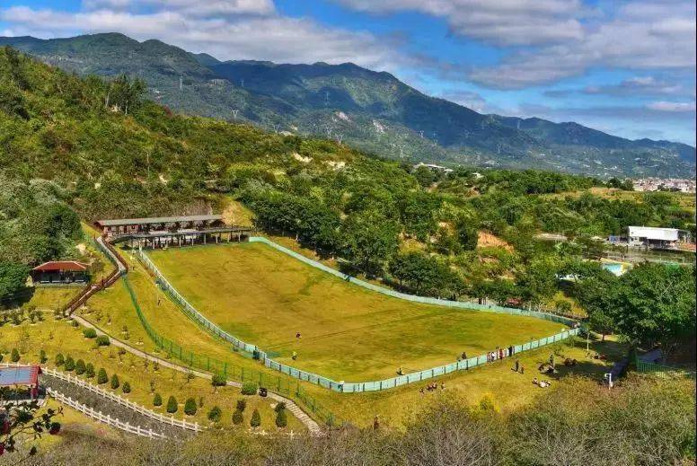 速领春节仪式感仅本月有效