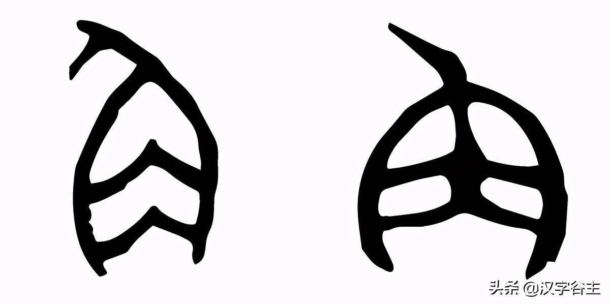 甲骨文"角"的字形如下