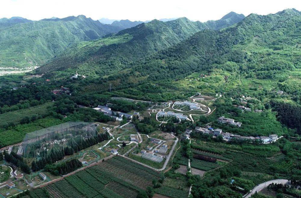 2020蓝田gdp_蓝田猿人图片(3)