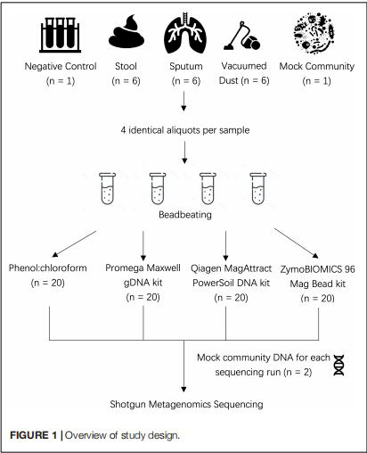 什么叫做阴性对照阳性对照 4078bc519ed74df5aeb0513080fe44fa.png