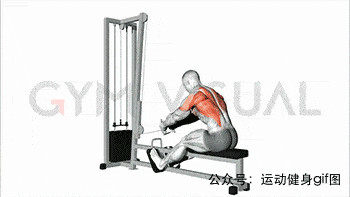 t杠划船21躺姿杠铃划船22器械单臂划船23史密斯机划船觉得不错点亮在