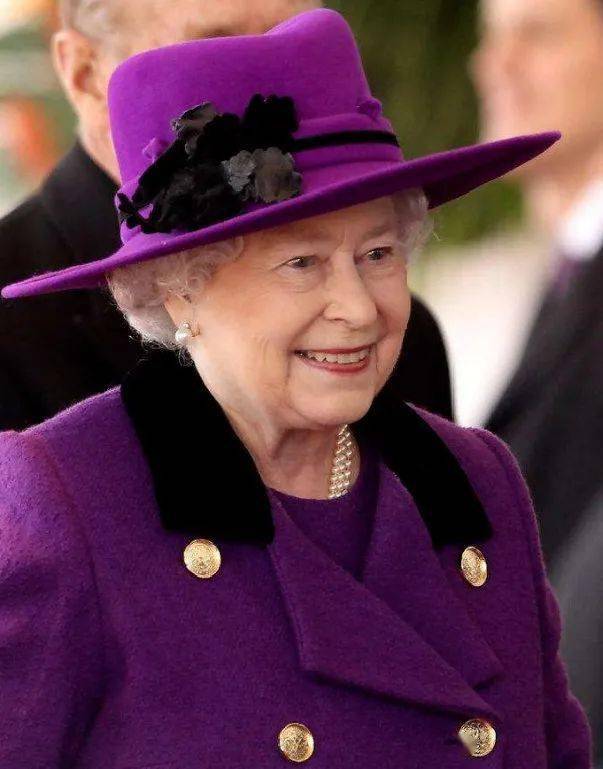 紫色在中国传统文化中代表尊贵,神秘,有"紫气东来"之说,故宫也称为"