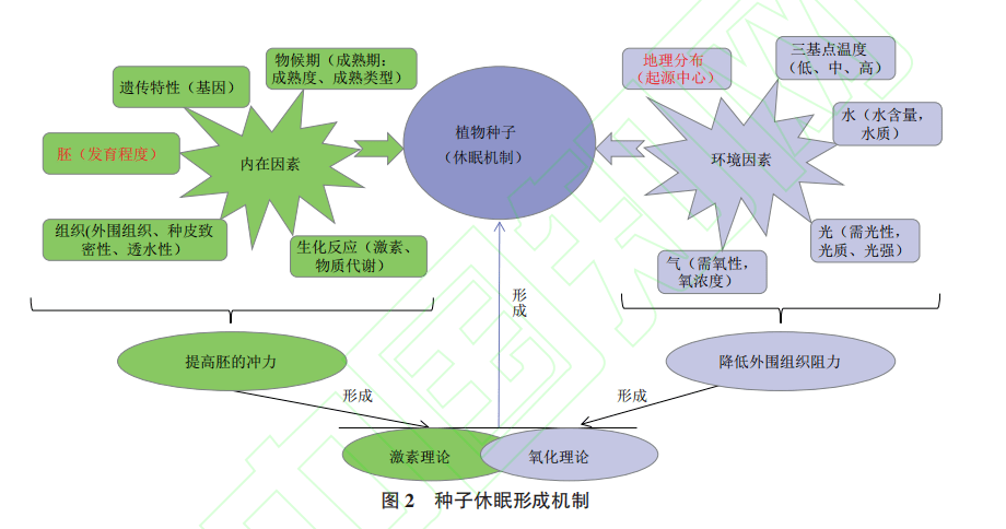 2021生物技术gdp_航拍琶洲粤港澳大湾区数字经济创新试验区