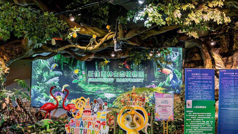 广州正佳广场热带雨林图片