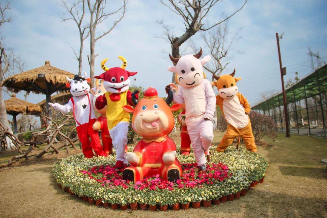 邂逅可爱的萌牛新春游园萌牛巡游闹新春活泼可爱,灵气十足一点也不