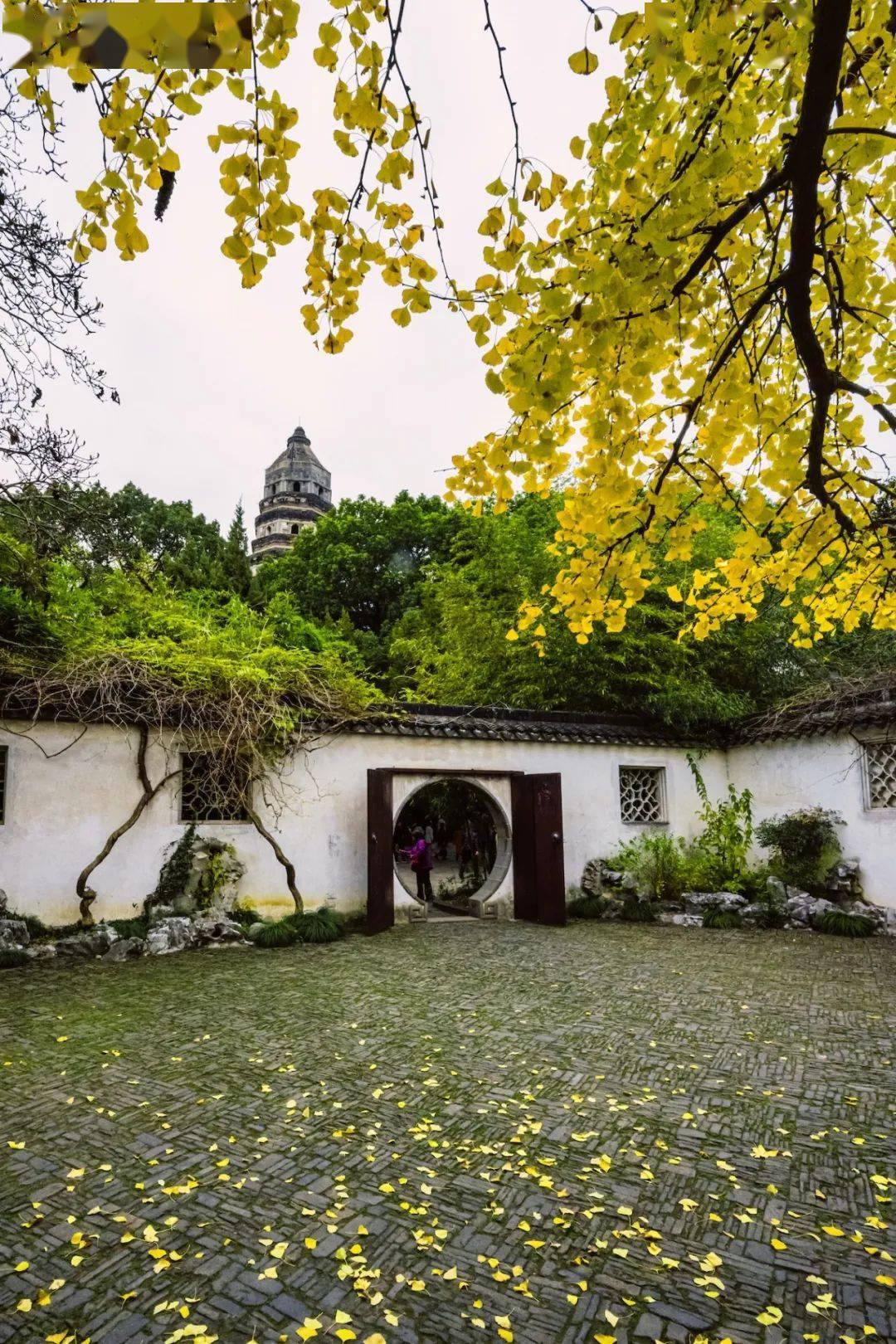 虎丘剑池是最具传说色彩的景点之一【活动时间】2月20日(年初九)