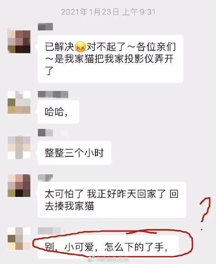 鄰居憤怒投訴噪音，發現是貓後：「那沒事了，小貓咪能有什麼壞心思呢！」 萌趣萌寵 第4张