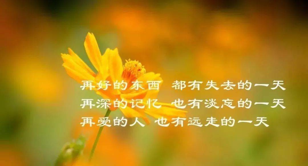 3f9c73fc681e4b868a9e516698beb547.jpeg