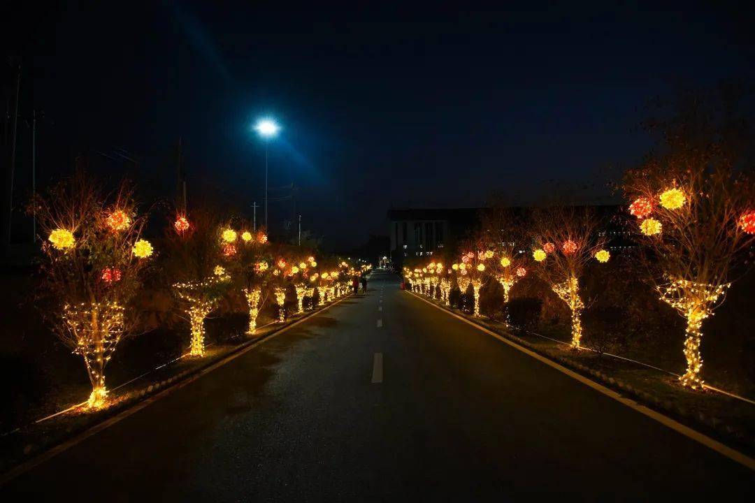 你可能没见过的小镇夜景