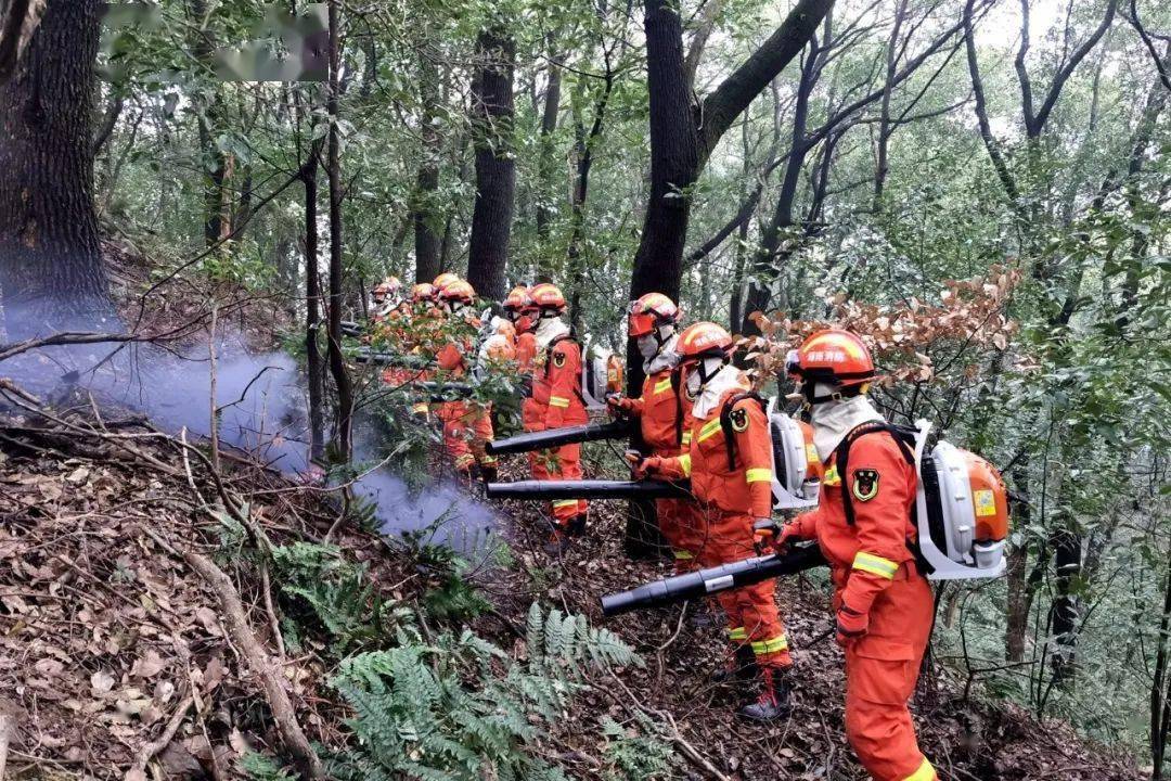 直接岳陽市消防救援支隊組織開展森林火災撲救實戰拉動演練