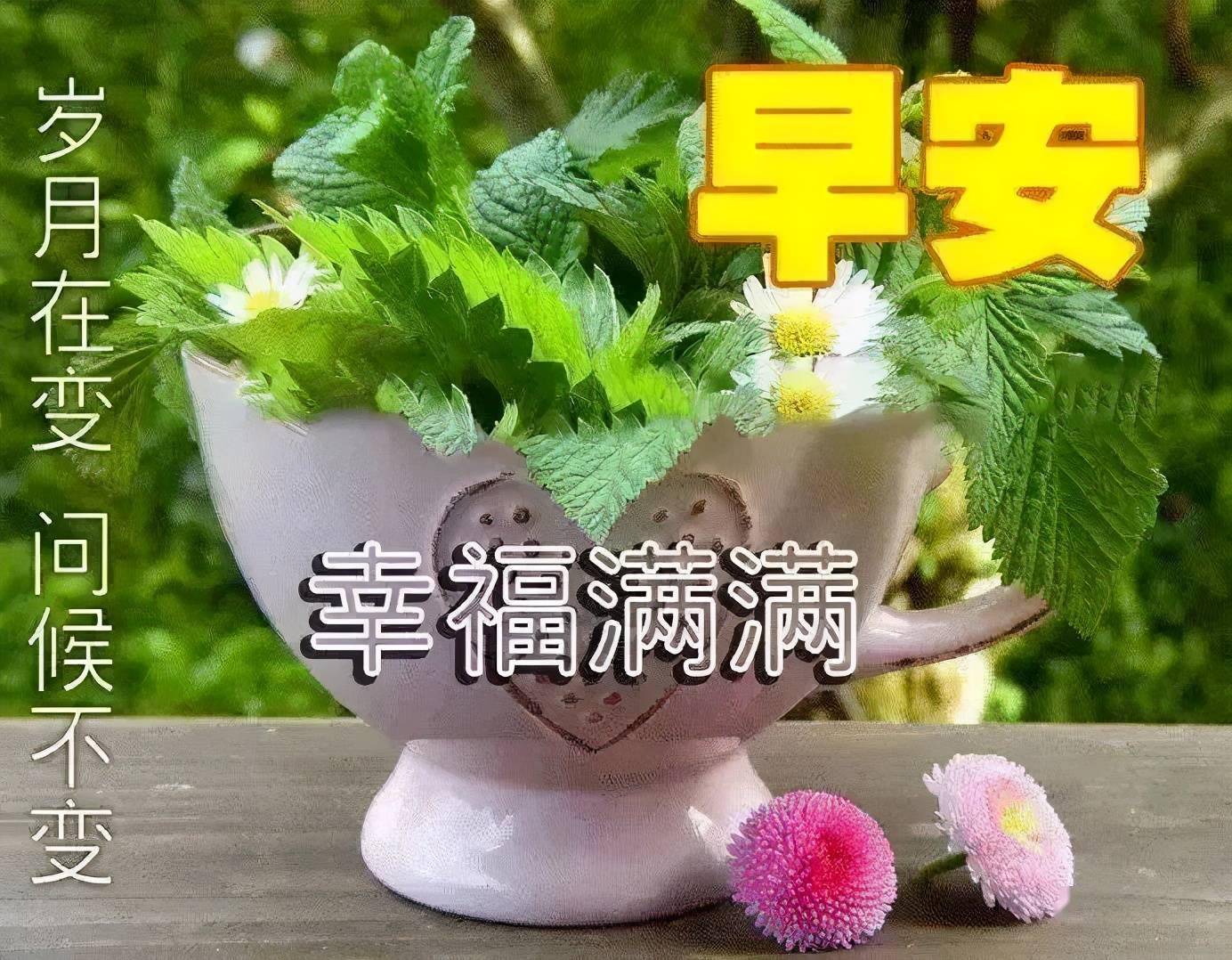 友誼是快樂的源泉,一份友情足可感動心靈,早安_祝福