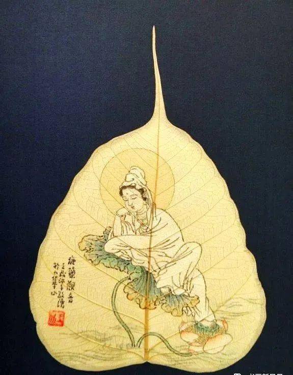 观自在菩萨,行深般若波罗每年花开时节,我邀约朋友来家共赏.