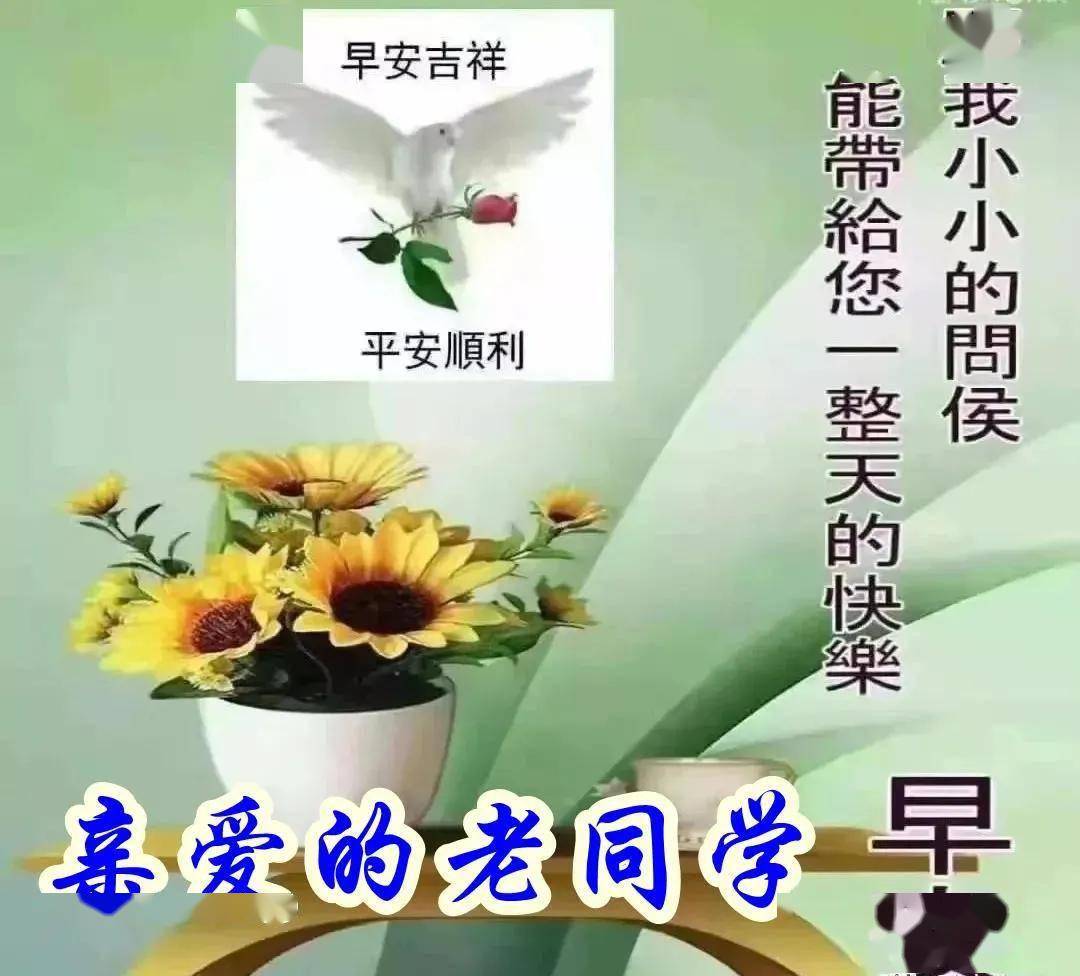 70f40f43004741ef8cad7f58e6860b48.jpeg
