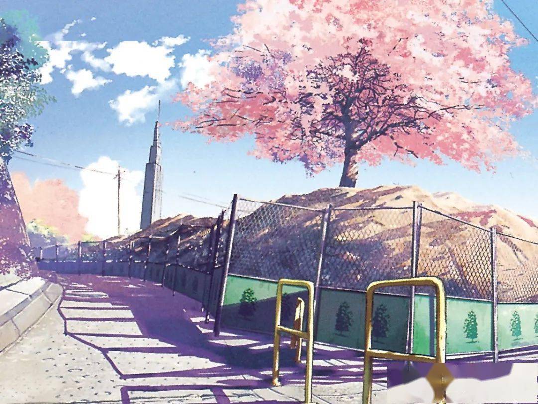 小c说电影 秒速五厘米 明里