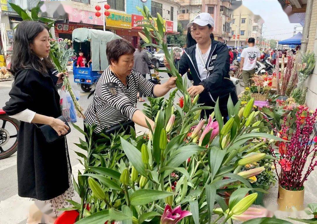 鹤山市宅梧镇第六次人口普查_鹤山市雅瑶镇新蕾学校