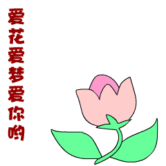 你好,花博 | 超萌花博会吉祥物表情包用起来,爱花爱梦爱你呦