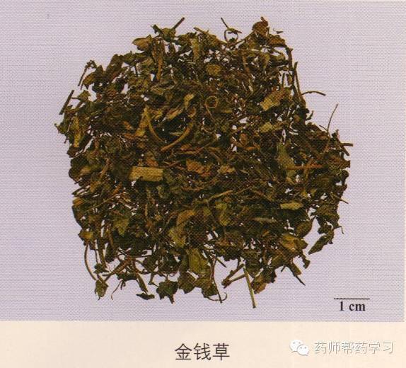 超全!203味中藥彩圖圖譜(附鑑別要點)