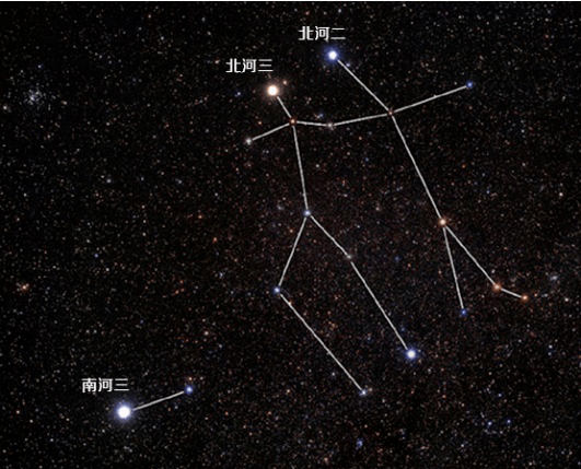 双胞胎老二竟然有六个头