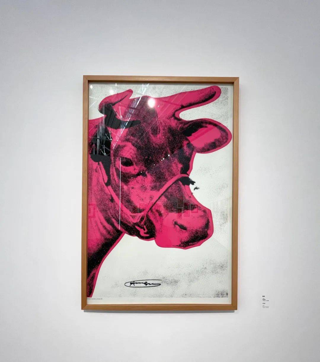 "你为什么不画牛呢,它们在艺术史上有着永恒的形象"_安迪·沃霍尔