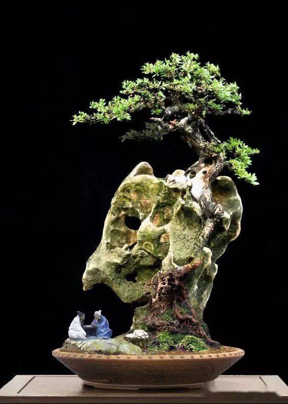 中式禅意盆景绝美