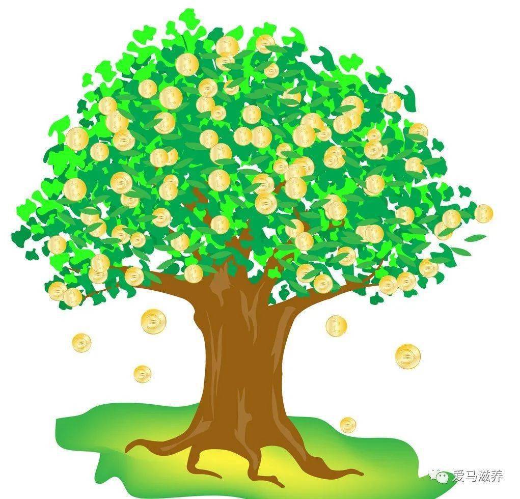 爱马:想财富翻转请把金钱美好发挥到极致