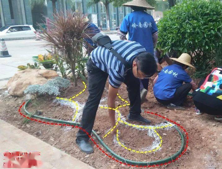 干货丨花境营造植物与空间的哲学