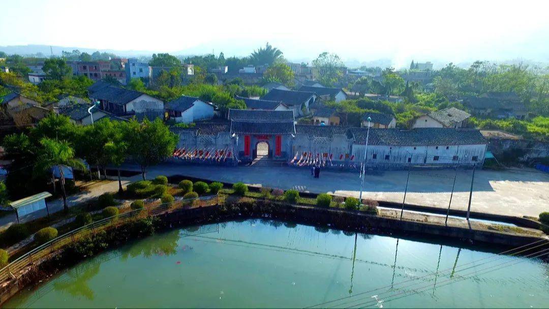 【乡村振兴看连平】忠信镇:大力发展农村产业及生态旅游业 奋力推动