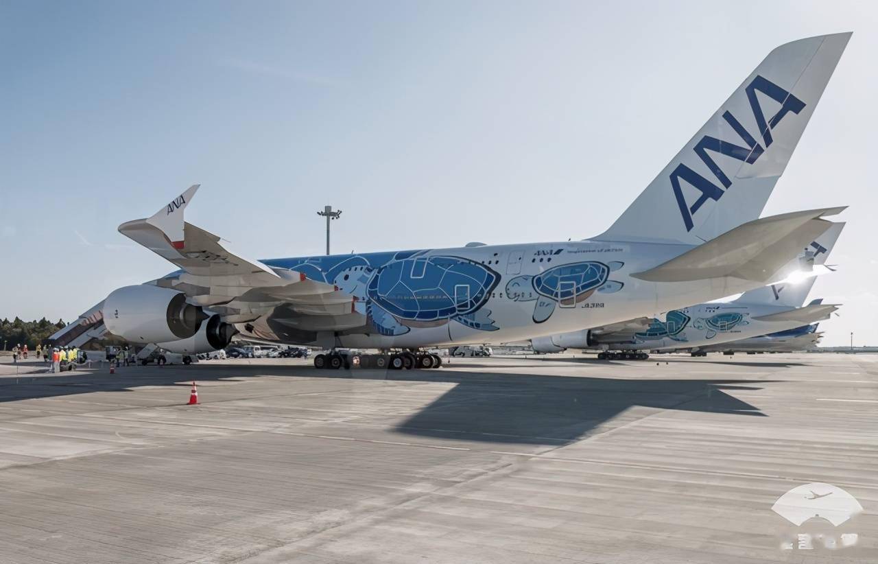 全日空a3801号(今天的搭乘机)/2号机和789场内巴士广受好评的flying