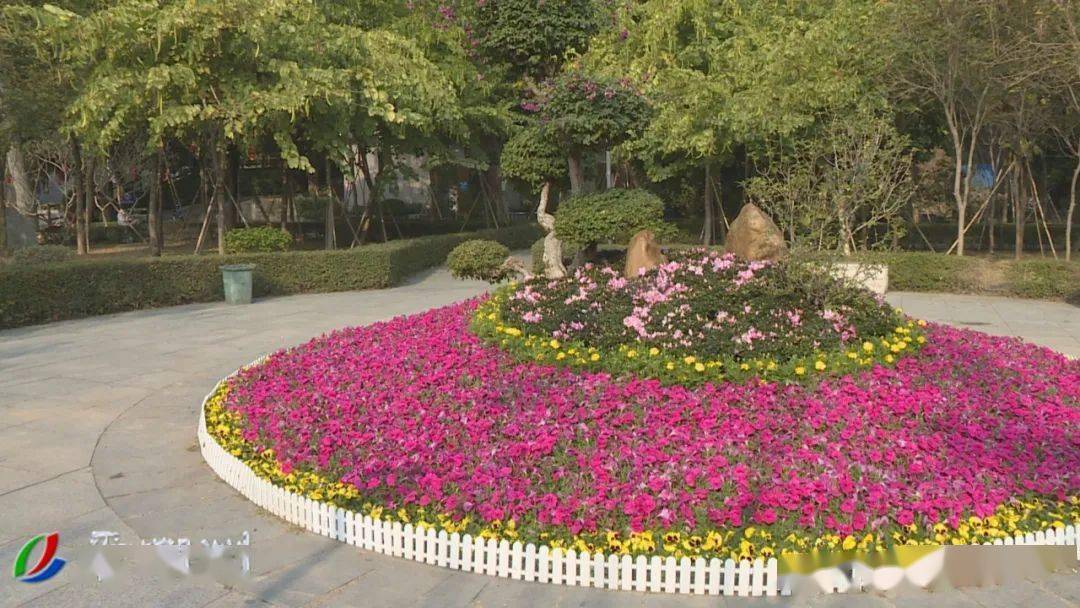 盆栽花卉室外摆放 8d2521e17369497eaac6b29af75ea06b.jpeg