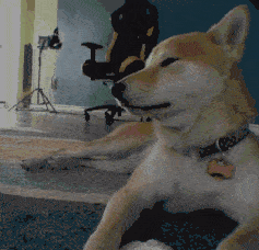 f47b316bbcd4488c878ec7d40b7916e5.gif