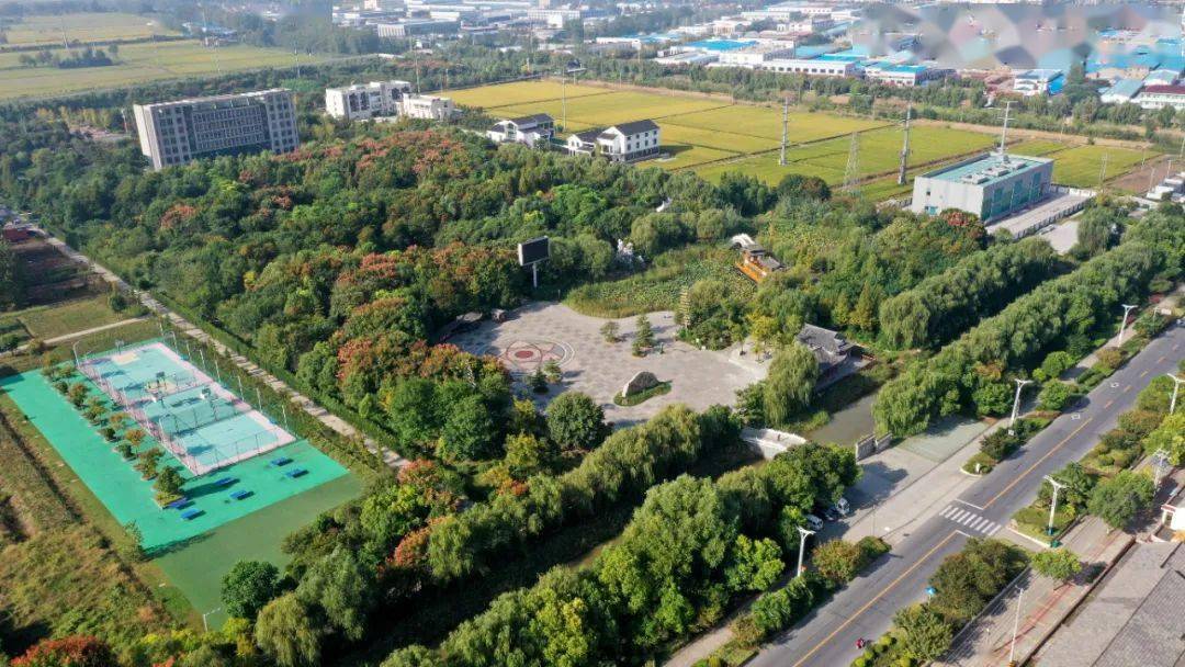 厉害了!宝应曹甸镇的总结报告