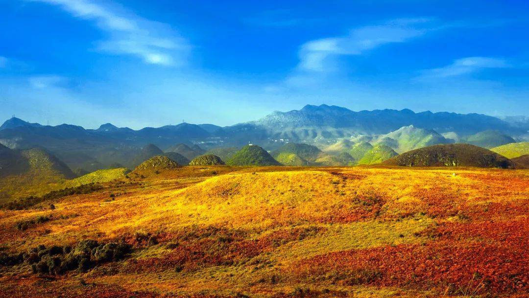 新年第一天,跳花坡景区热闹人欢喜!_经杭瑞