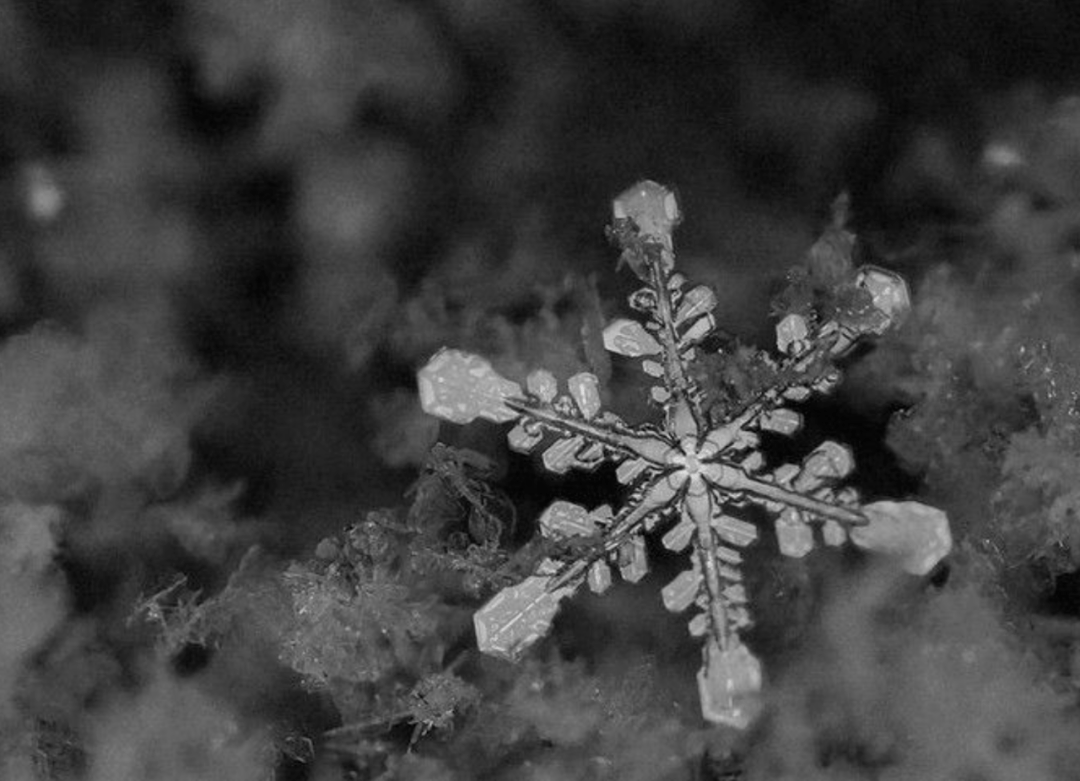 雪崩的时候没有一片雪花 是无辜的 10人类最宝贵的财富就是希望希望能减轻