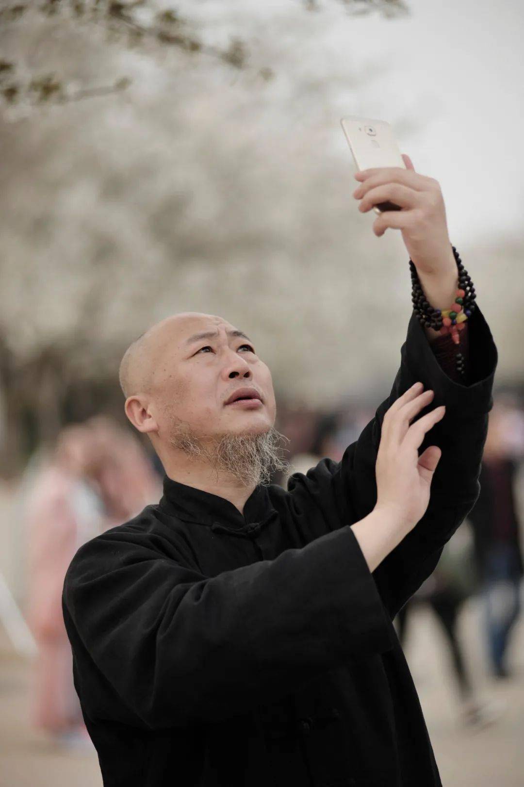 书画陪你过大年之三——曹大瑞国画作品欣赏_篆刻