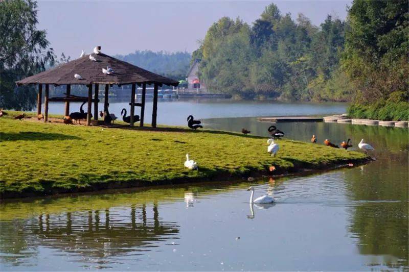 初五安吉江南天池高山滑雪中南百草原二日778元桐乡自组团春节67