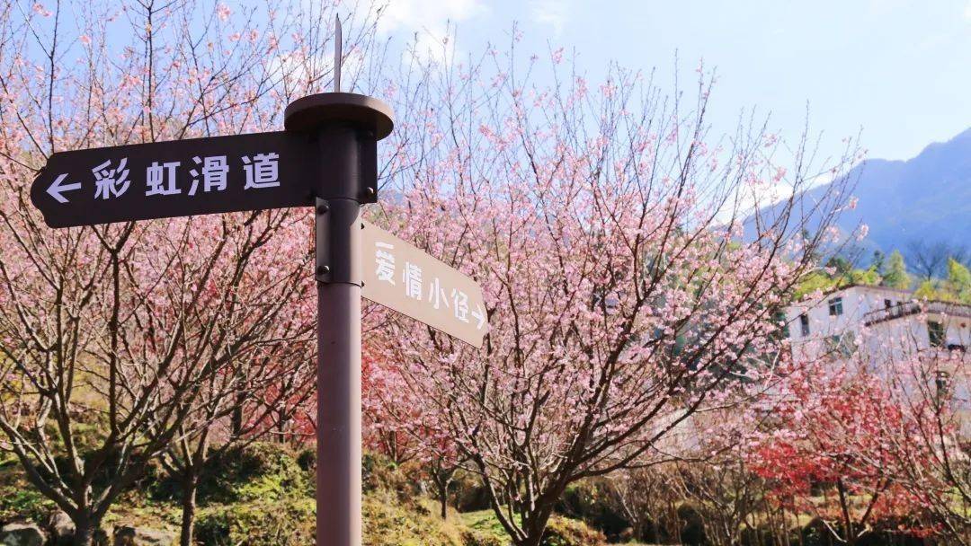 明月山花海原居图片