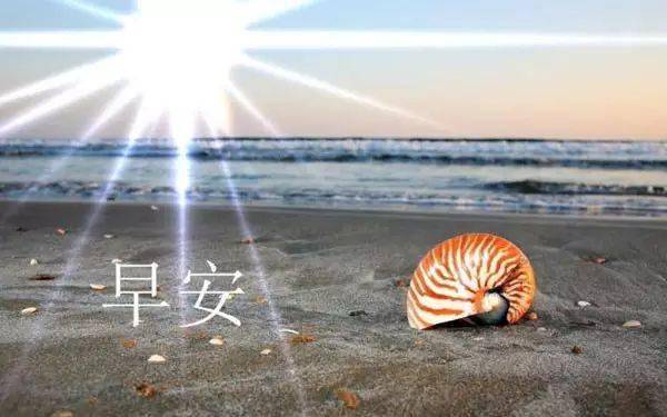 2月14日早上发朋友圈激励人心的好句子