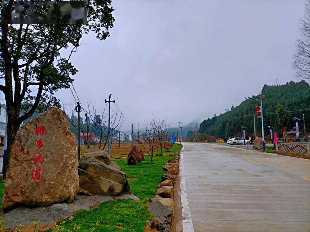 带你走进永丰桃花源——桃乡上溪