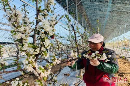 树是什么时候释放氧气 16146c7eea7745cb88c83e63e5ed0331.jpeg