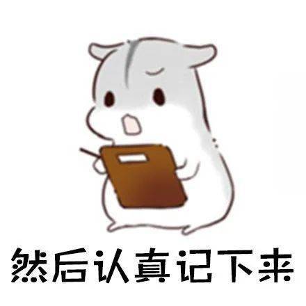6c45154060c042d0af38e54c15d0a722.jpeg