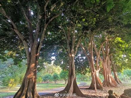 葫芦岛蝶变科学岛之谜