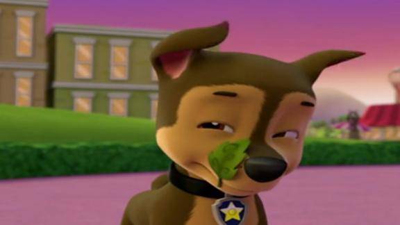 狗狗巡逻队阿奇成话匣子招人烦汪汪队立大功