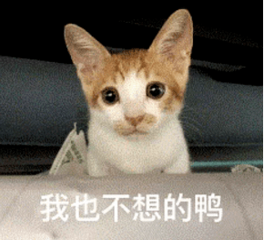 可可爱爱奇奇怪怪下一句 8c825565963146bab0871e7bae86a12d.png
