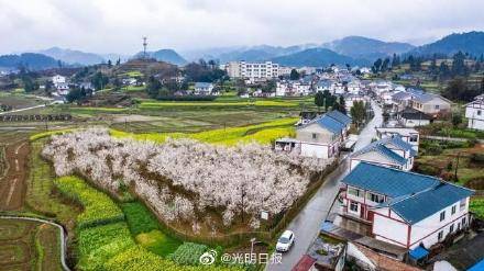 贵州花茂村：从“美丽乡愁”到“绿色发展”