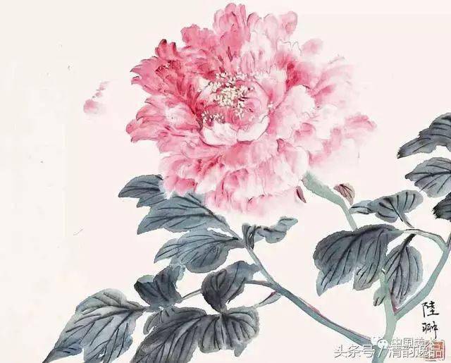他尤擅兼工带写和没骨法花鸟画陆抑非作品欣赏_搜狐网