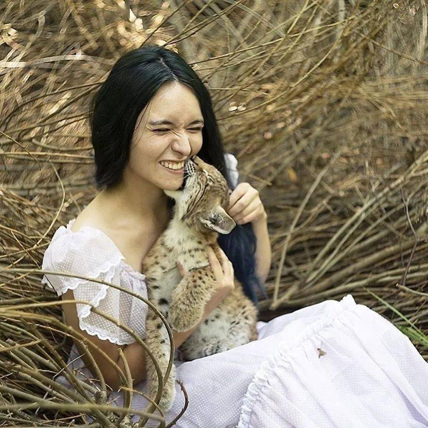 救了2隻山貓交給8隻大傻狗養，結果...這猛獸怎麼狗里狗氣的？ 萌趣萌寵 第6张