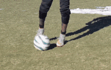 e43566865ee74b989486b73d6d765713.gif